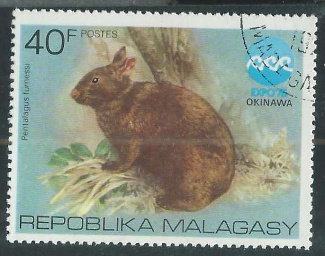 Madagascar - Y&T 0568 (o) - Lapin  -