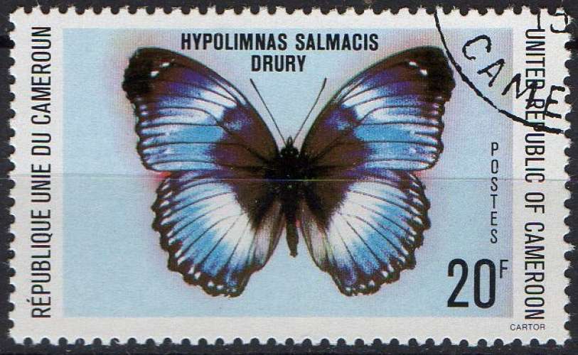 Faune - Papillons - Hypolimnas Salmacis-Drury