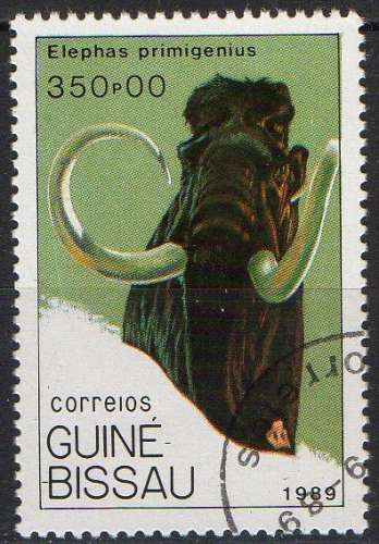 Faune préhistorique - Elephas primigenius