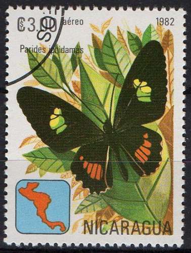 Faune - Papillons - Parides iphidamas