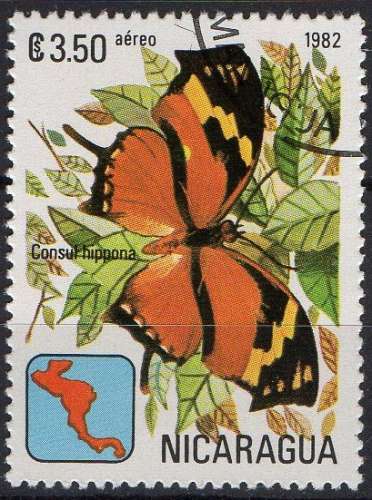 Faune - Papillons - Consul hippona