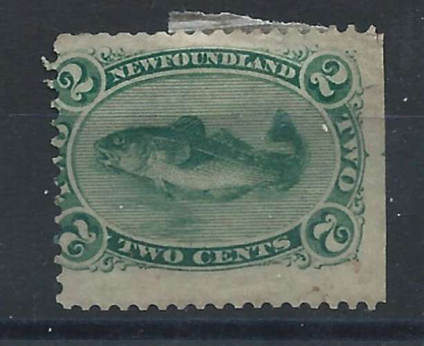 Terre-Neuve N°21 (*) (MNG) 1866/71 - Poisson 