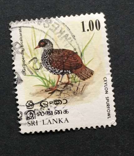 Sri Lanka 1979 YT 529