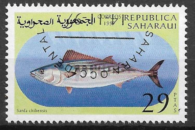 Sahara occidental 1997 oblitéré - Poissons