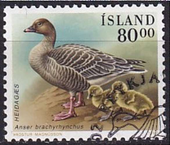 islande ... n° 676  obliteré ... 1990