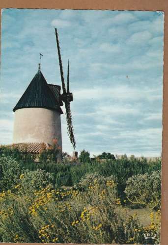 cpsm 85 Noirmoutier Moulin de la Renarde