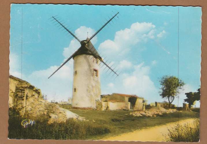 cpsm 85 Beauvoir-sur-Mer Le Moulin Sainte-Catherine