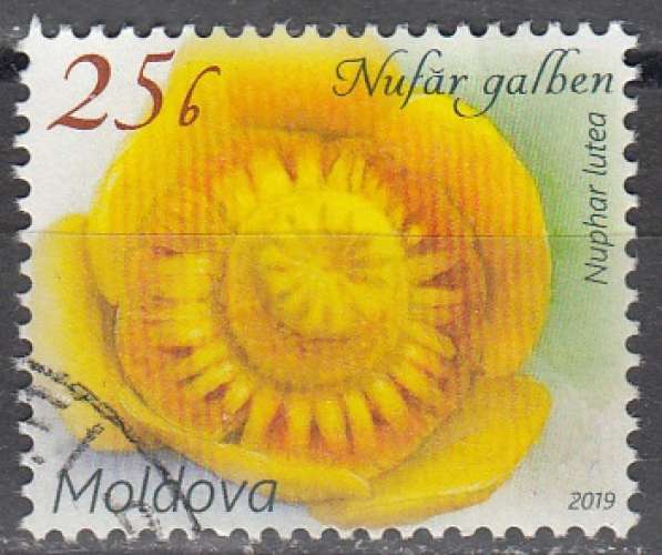 Moldova 2019 Fleur Nénuphar jaune O Cachet rond