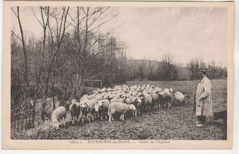 cpsm 52 Bourbonne-les-Bains Vallée de l'Apance  ( moutons )