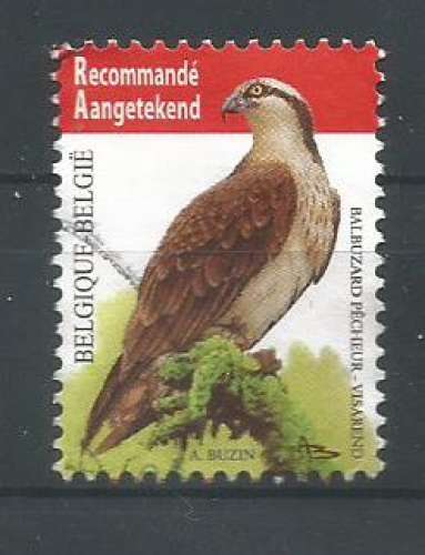 Belgique 2011 - YT n° 4071 - Balbuzard pêcheur - cote 5,00