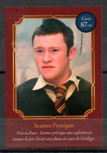 Carte Harry Potter Auchan 2021 N°87/90 Seamus Finnigan