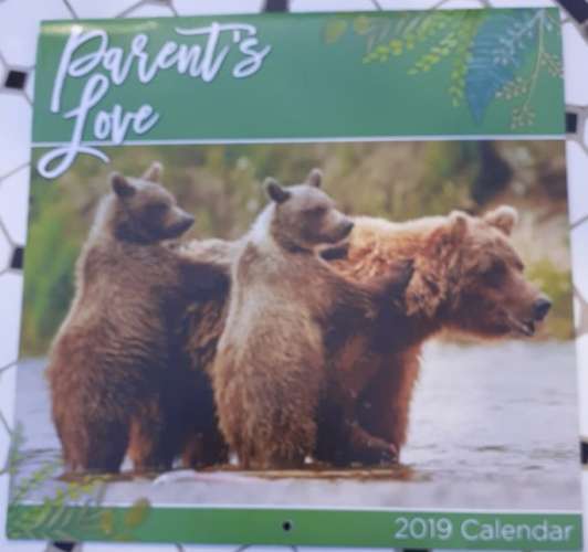 Calendrier mural 2019 - Ours