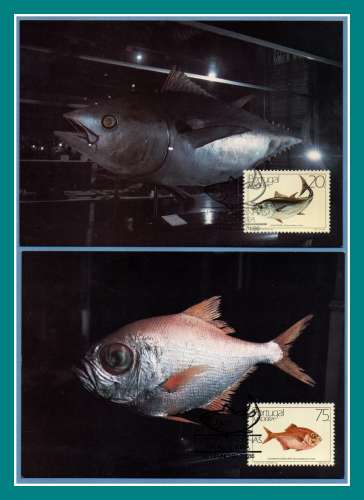 2 Cartes Maximum Portugal MADERE 1986  Poissons 