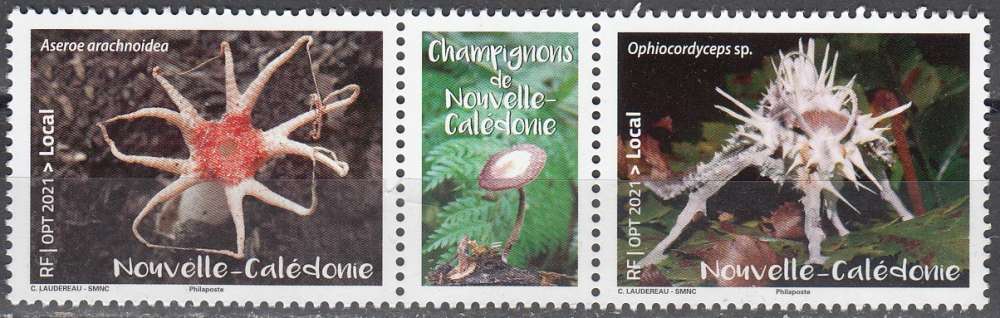 Nouvelle-Caledonie 2021 Champignons Neuf **