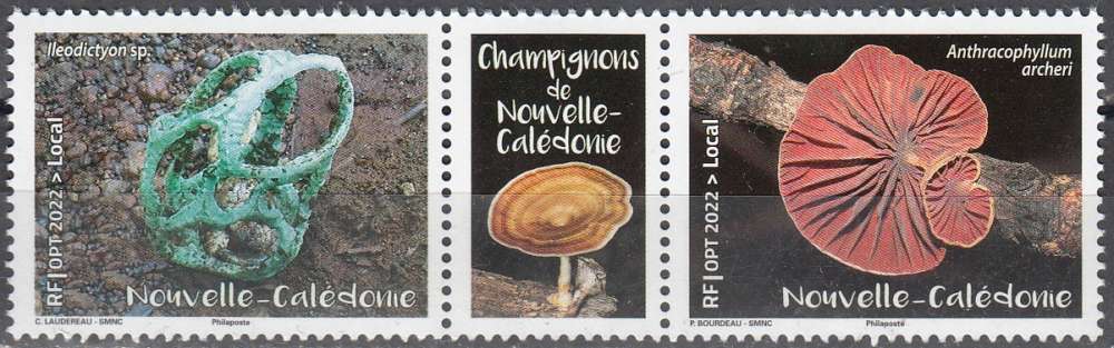 Nouvelle-Caledonie 2022 Champignons Neuf **