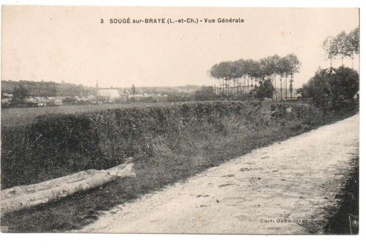 cpa 41 Sougé-sur-Braye    Vue générale