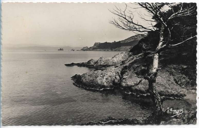 CPSM - ILE DE PORQUEROLLES. - Vue sur les Mèdes.