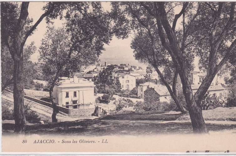 CPA - AJACCIO - Sous les Oliviers.