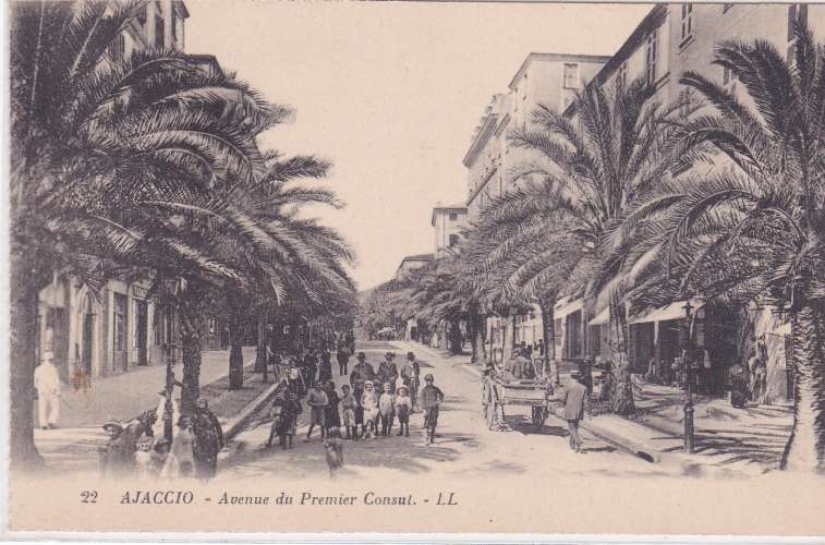 CPA - AJACCIO - Avenue du Premier Consul.