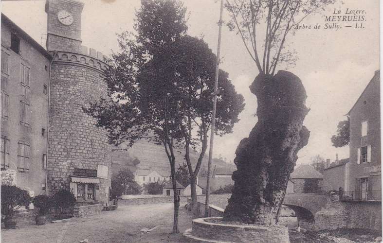 CPA - MEYRUEIS - L'Arbre de Sully.