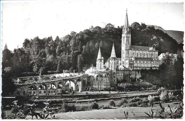 CPSM - LOURDES - La Basilique et la Gave.