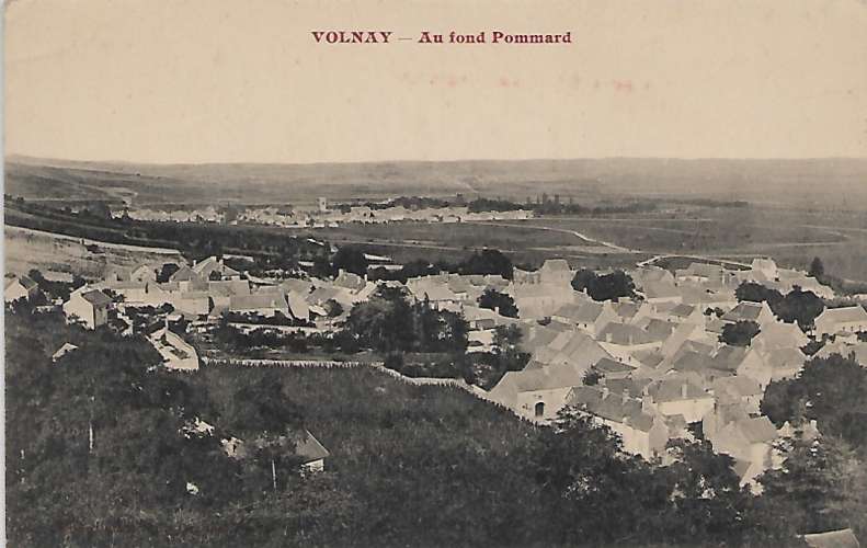 CPA - VOLNAY - Au Fond Pommard.