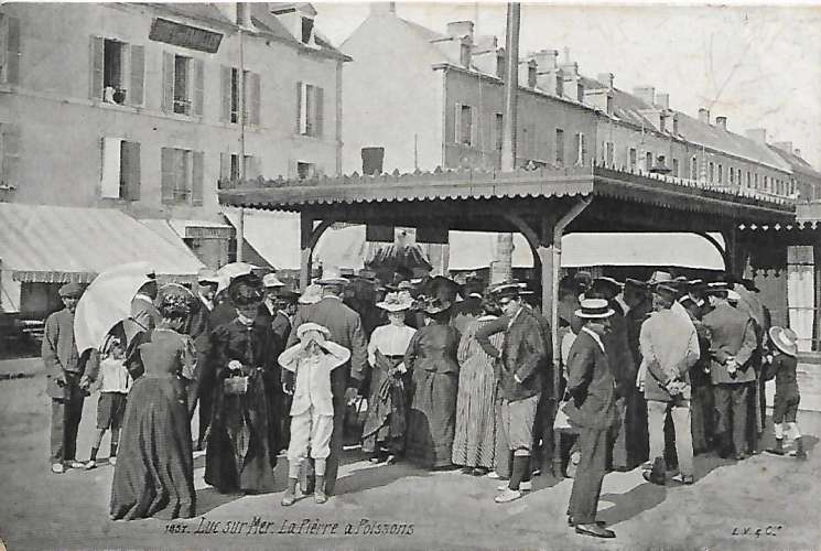 CPA - LUC SUR MER - La Pierre à Poisson.