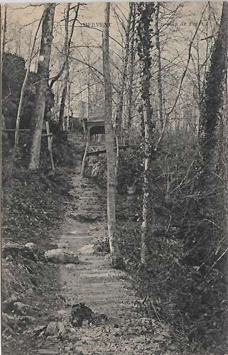 CPA - MERVENT - Un Coin de Forêt.