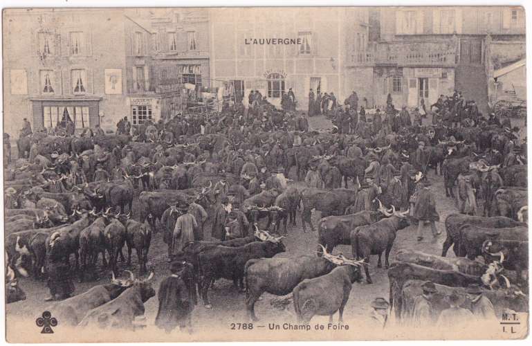 CPA Auvergne - Un champ de foire - circulée en 1909