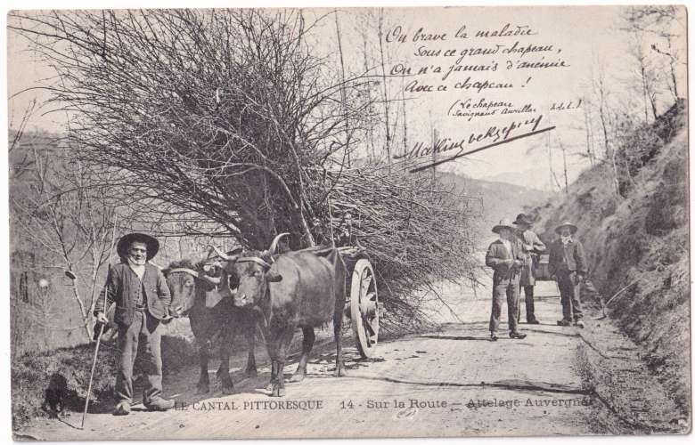 CPA Auvergne - Cantal pittoresque, attelage auvergnat - Ecrite