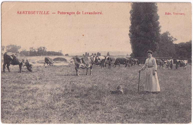 CPA 78 Sartrouville - Paturages de Lavaudoire - non circulée