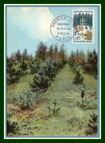 Carte Maximum N° 1460 Reboisement 1965 Arbres