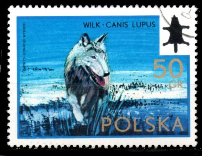 Pologne Yvert N°2091 Oblitéré 1973 Loup