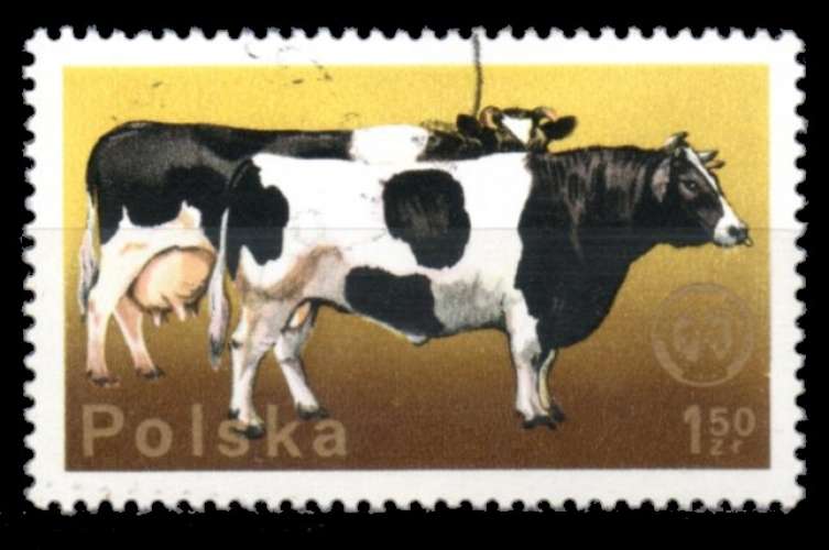 Pologne Yvert N°2219 Oblitéré 1975 Vache noire blanche