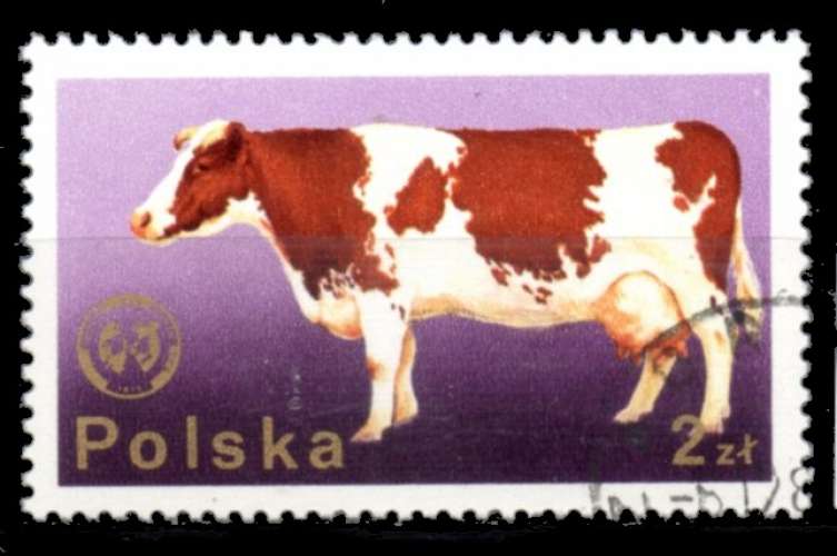 Pologne Yvert N°2220 Oblitéré 1975 Vache marron blanche