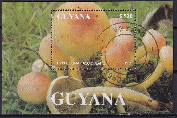  guyana ... bloc n° ?  obliteré ... 1993