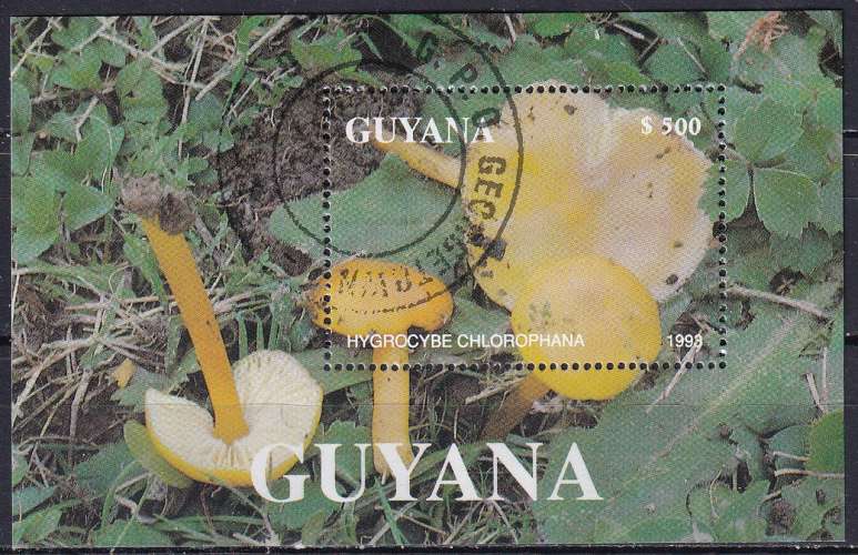  guyana ... bloc n° ?  obliteré ... 1993