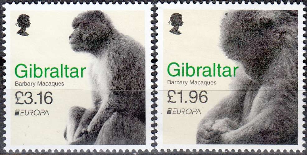 Gibraltar 2021 Europa CEPT Macaque de Barbarie Neuf **