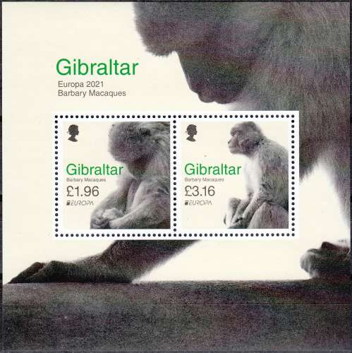 Gibraltar 2021 Bloc Feuillet Europa CEPT Macaque de Barbarie Neuf **