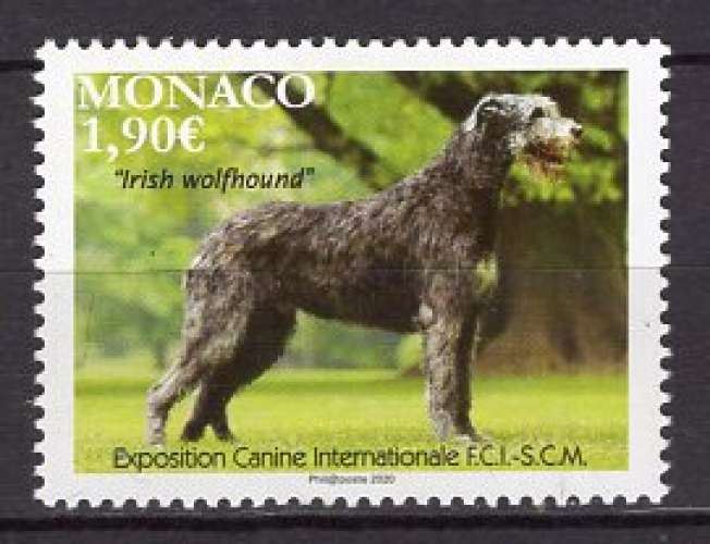 MONACO 2020  EXPOSITION CANINE  CHIEN  L'IRISCH WOLFHOUND  NEUF**