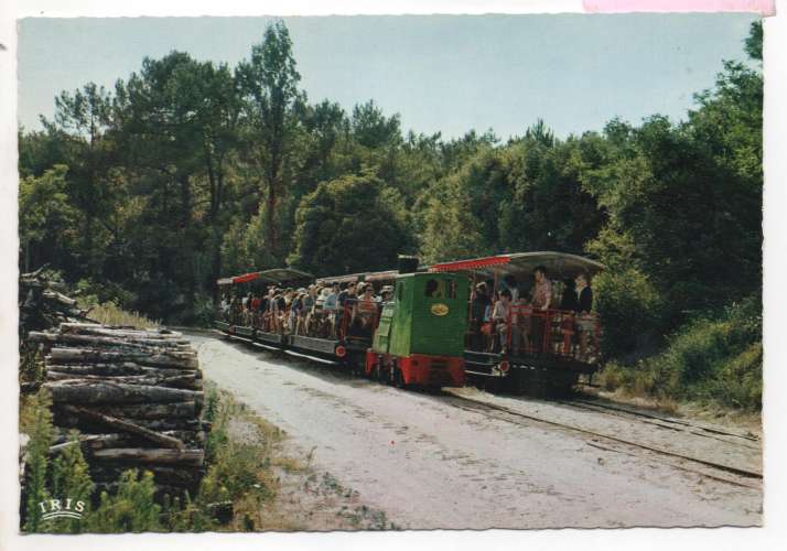 cpsm 17 Ile d'Oléron  Saint-Trojan le petit Train