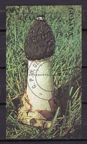 GUYANA 1990 LES CHAMPIGNONS  BLOC OBLITERE