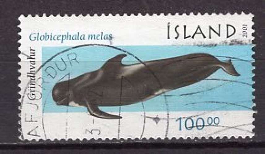 ISLANDE 2001  MAMMIFERE MARIN LE GLOBICEPHALA OBLITERE