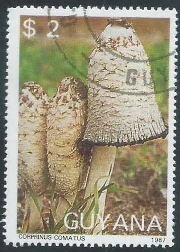 Guyane - Y&T 1769MG (o) - Champignons -