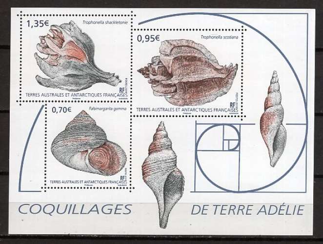 FRANCE TAAF 2019 LES COQUILLAGES DE TERRE ADELIE  BLOC NEUF**