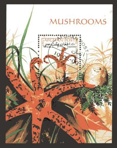 AFGHANISTAN 1999 LES CHAMPIGNONS   BLOC OBLITERE