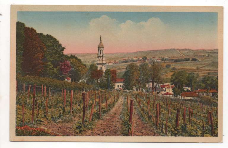 cpa 33 Verdelais  Vue générale ( vignoble )