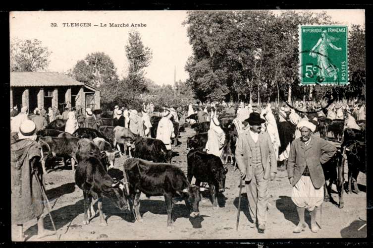 CP : Algérie : Tlemcen / Marché Arabe / NB 1910