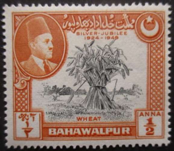 BAHAWALPUR N°19 neuf * cote 15€