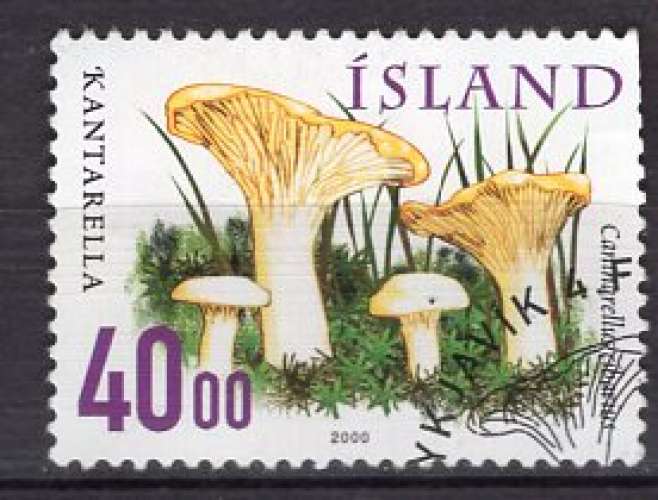 ISLANDE 2000 LES CHAMPIGNONS  OBLITERE